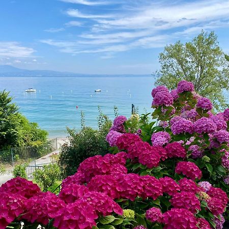 Front Lake Amazing View Manerba del Garda Exterior photo